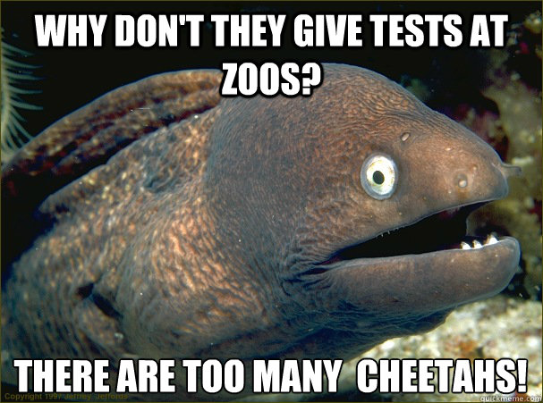 why don't they give tests at zoos? there are too many  cheetahs!
  Bad Joke Eel