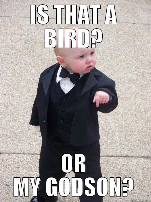 IS THAT A BIRD? OR MY GODSON? Baby Godfather