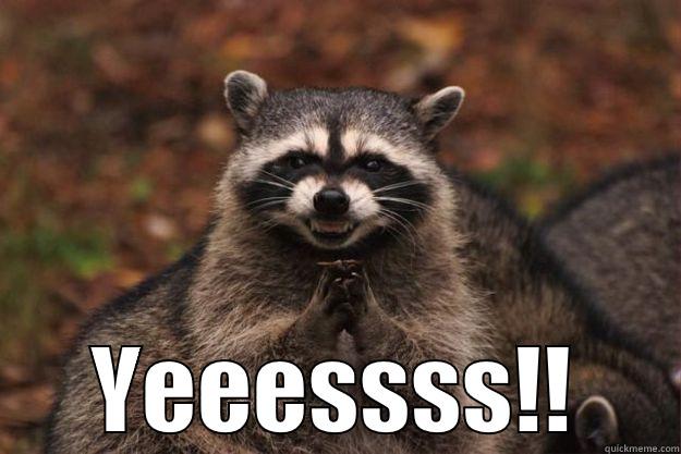When you plan something mischevious and it succeeds -  YEEESSSS!! Evil Plotting Raccoon