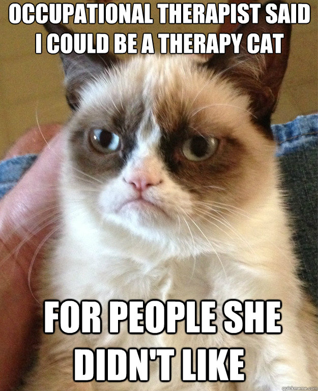 Occupational therapist said I could be a therapy cat  For people she didn't like - Occupational therapist said I could be a therapy cat  For people she didn't like  Misc