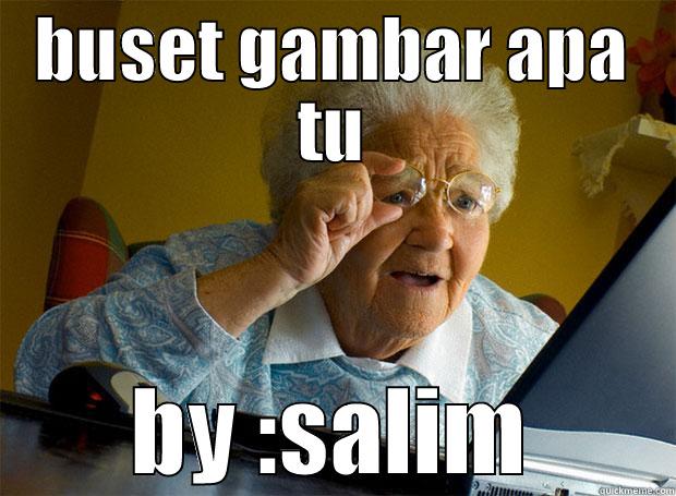 BUSET GAMBAR APA TU BY :SALIM Grandma finds the Internet