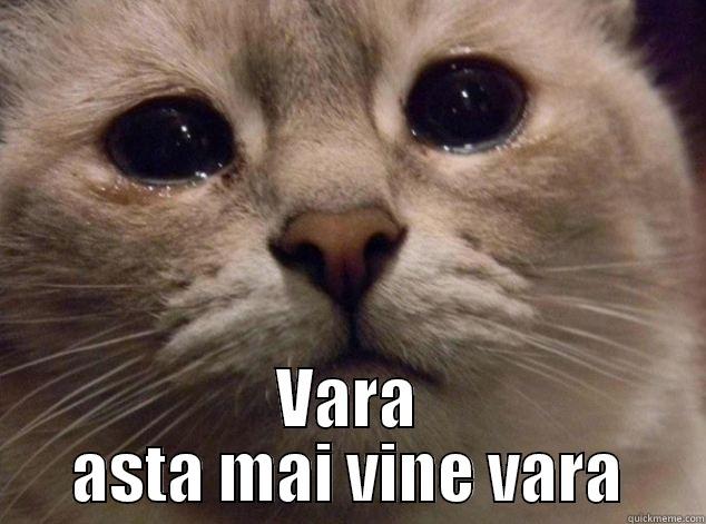  VARA ASTA MAI VINE VARA Misc