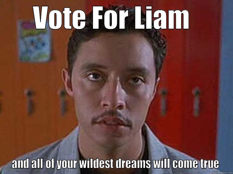 VOTE FOR LIAM  AND ALL OF YOUR WILDEST DREAMS WILL COME TRUE Misc