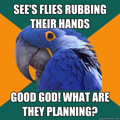 See's flies rubbing their hands Good god! what are they planning?  Paranoid Parrot