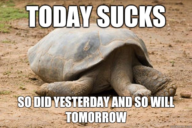 Today sucks so did yesterday and so will tomorrow  Depression Turtle