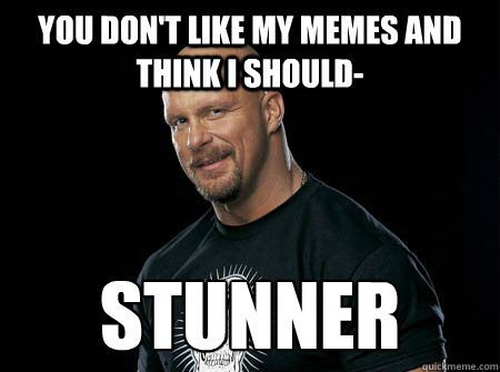 you don't like my memes and think I should- stunner - you don't like my memes and think I should- stunner  Stone Cold Steve Austin