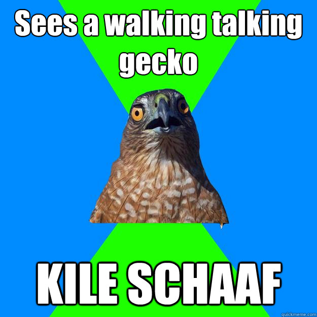 Sees a walking talking gecko  KILE SCHAAF  Hawkward