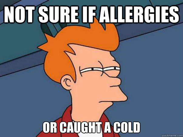 Not sure if allergies or caught a cold  Not sure Fry