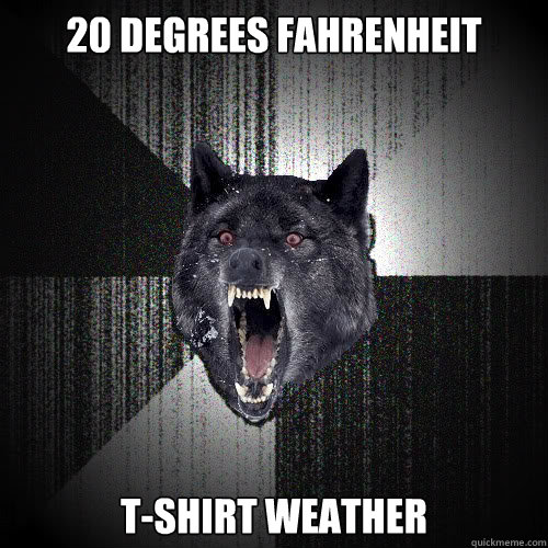 20 degrees Fahrenheit  T-shirt Weather  insanitywolf