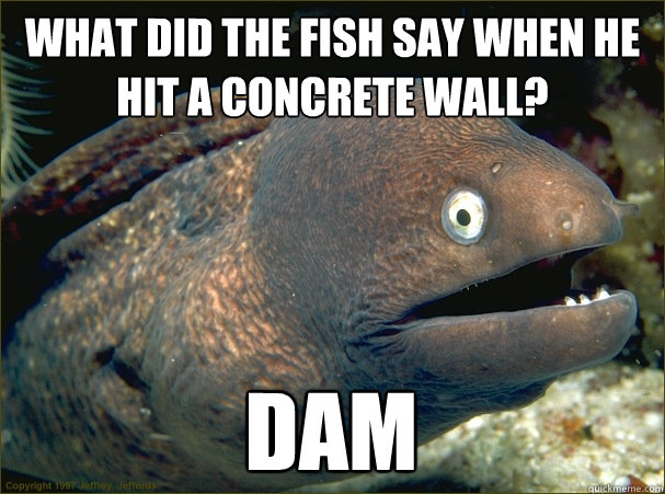 What did the fish say when he hit a concrete wall? Dam - What did the fish say when he hit a concrete wall? Dam  Bad Joke Eel
