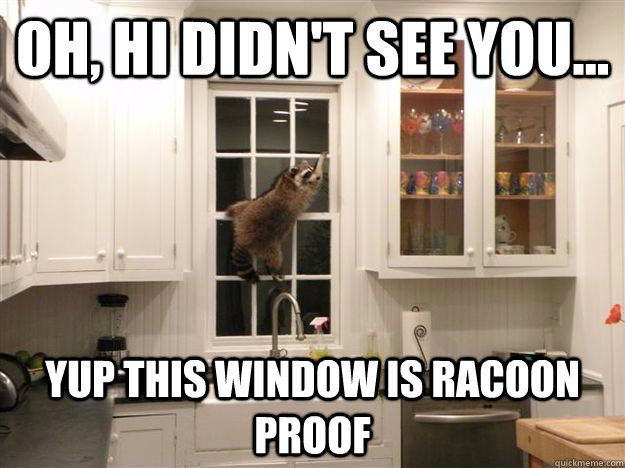 Oh, Hi didn't see you... Yup this window is racoon proof - Oh, Hi didn't see you... Yup this window is racoon proof  Red-Handed Racoon