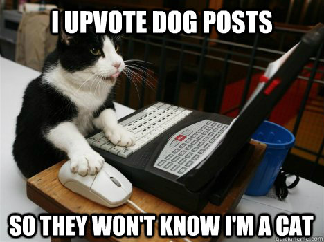 I UPVOTE DOG POSTS SO THEY WON'T KNOW I'M A CAT  