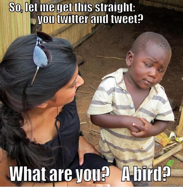 SO, LET ME GET THIS STRAIGHT:                   YOU TWITTER AND TWEET? WHAT ARE YOU?    A BIRD? Skeptical Third World Kid