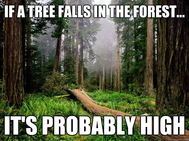 if a tree falls in the forest... It's probably high - if a tree falls in the forest... It's probably high  If a tree falls in the forest