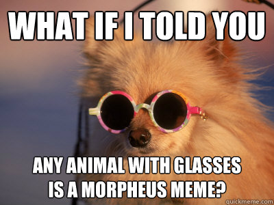 What if I told you
 Any animal with glasses
is a morpheus meme?  