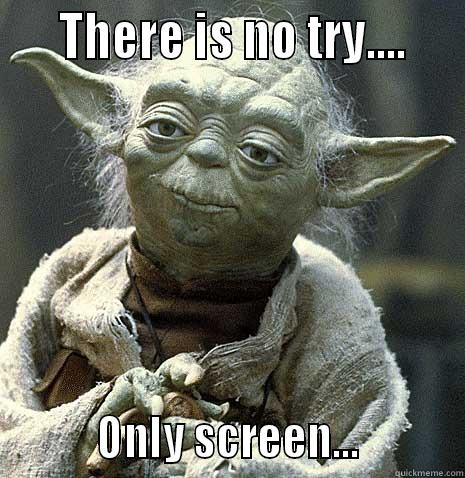    THERE IS NO TRY....             ONLY SCREEN...          Misc