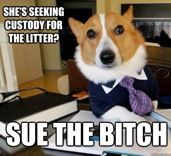 She's seeking custody for the litter? sue the bitch - She's seeking custody for the litter? sue the bitch  Lawyer Dog