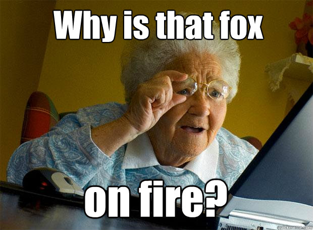 Why is that fox on fire?  Grandma finds the Internet