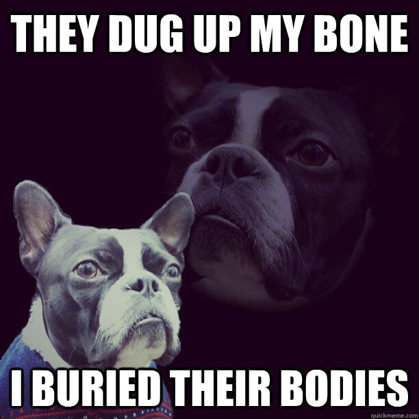 They dug up my bone i buried their bodies  Post Dramatic Stress Dog