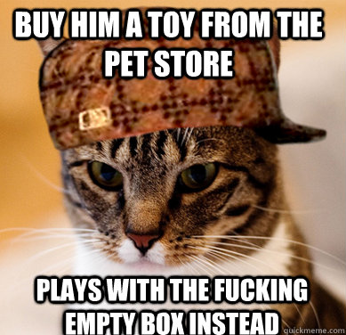 Buy him a toy from the pet store Plays with the fucking empty box instead  Scumbag Cat