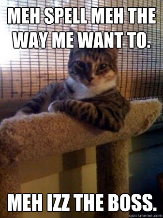 meh spell meh the way me want to. meh izz the boss.  The Most Interesting Cat in the World