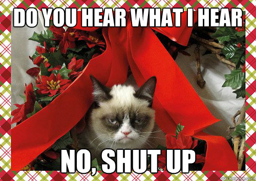 Do you hear what i hear no, SHUT UP  A Grumpy Cat Christmas