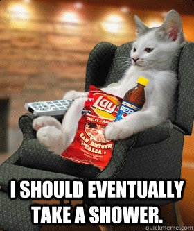  I should eventually take a shower. -  I should eventually take a shower.  Unsophisticated Cat