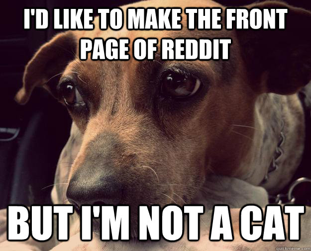 i'd like to make the front page of reddit but i'm not a cat  