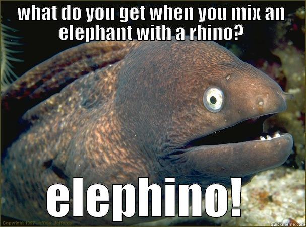 WHAT DO YOU GET WHEN YOU MIX AN ELEPHANT WITH A RHINO? ELEPHINO!  Bad Joke Eel