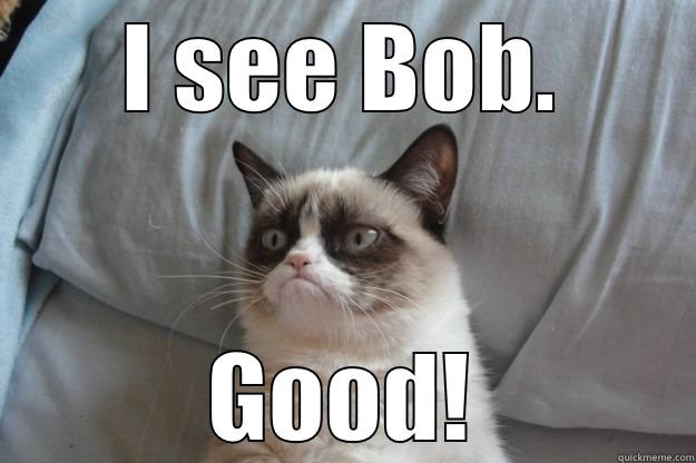 I SEE BOB. GOOD! Grumpy Cat