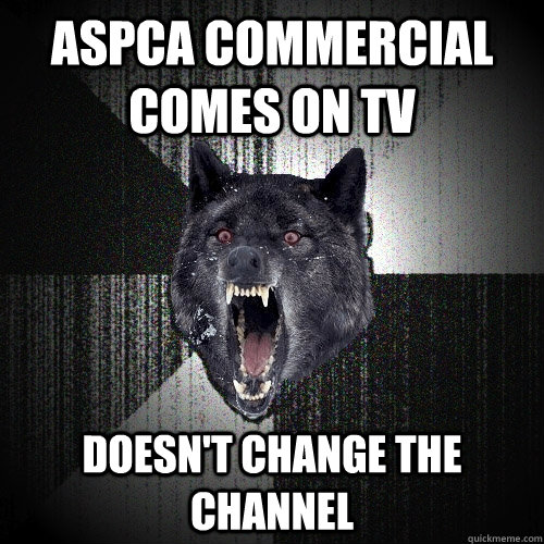 ASPCA commercial comes on TV doesn't change the channel  Insanity Wolf
