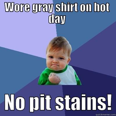 WORE GRAY SHIRT ON HOT DAY   NO PIT STAINS! Success Kid