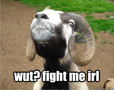 wut? fight me irl - wut? fight me irl  Angry Goat