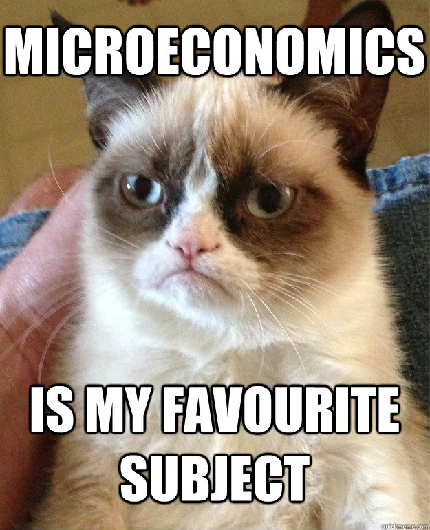 Microeconomics  is my favourite subject  Grumpy Cat