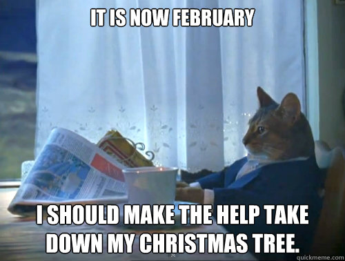 It is now February I should make the help take down my Christmas tree.  The One Percent Cat