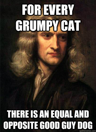 For every grumpy cat there is an equal and opposite good guy dog - For every grumpy cat there is an equal and opposite good guy dog  Sir Isaac Newton