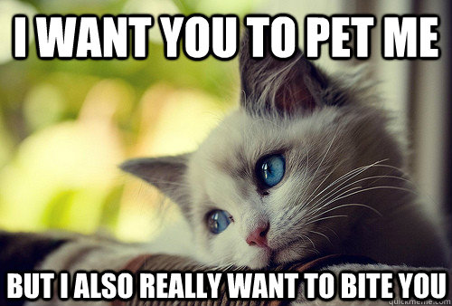 I want you to pet me But I also really want to bite you  First World Cat Problems