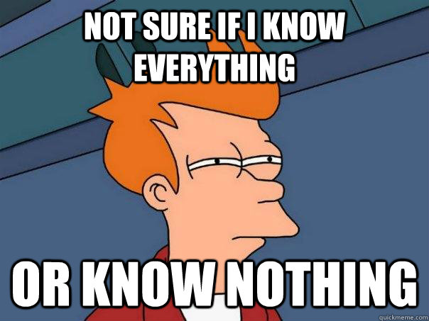 Not sure if I know everything Or know nothing  Futurama Fry