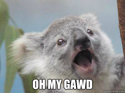 Oh my gawd - Oh my gawd  Oh My God Koala