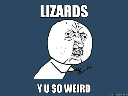 LIZARDS y u so weird  Y U No