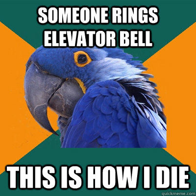 someone rings elevator bell this is how i die  Paranoid Parrot