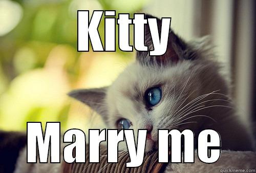 KITTY MARRY ME First World Problems Cat