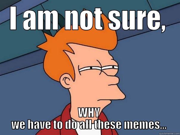 2_Martin Gugel - I AM NOT SURE, WHY WE HAVE TO DO ALL THESE MEMES... Futurama Fry
