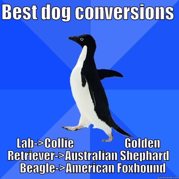 BEST DOG CONVERSIONS  LAB->COLLIE                       GOLDEN RETRIEVER->AUSTRALIAN SHEPHARD     BEAGLE->AMERICAN FOXHOUND Socially Awkward Penguin