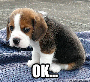  Ok... -  Ok...  So Sad Puppy