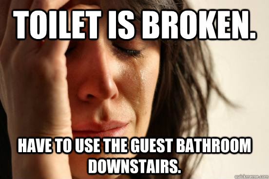 Toilet is broken. Have to use the guest bathroom downstairs. - Toilet is broken. Have to use the guest bathroom downstairs.  First World Problems