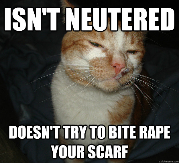 Isn't neutered Doesn't try to bite rape your scarf  Cool Cat Craig