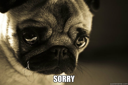  Sorry -  Sorry  Sad Dog