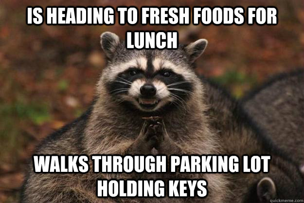 Is heading to Fresh foods for lunch Walks through parking lot holding keys  Evil Plotting Raccoon