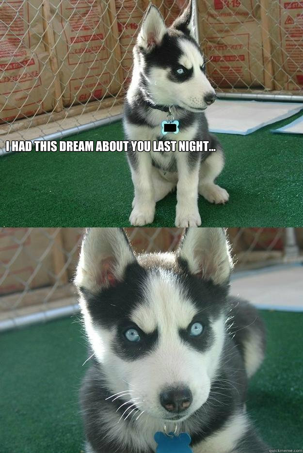 I had this dream about you last night...   Insanity puppy